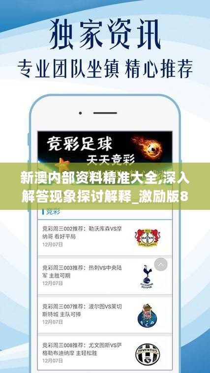 新澳精准资料|精选资料解析大全