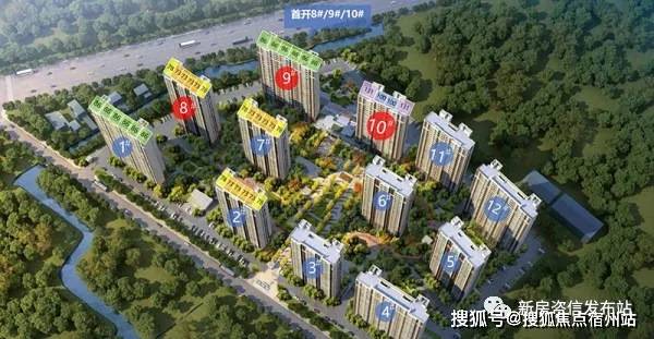 2024天天开彩免费资料|精选资料解析大全