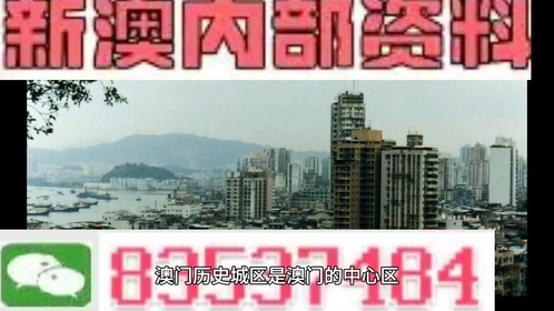澳门最精准最准的龙门|精选资料解析大全
