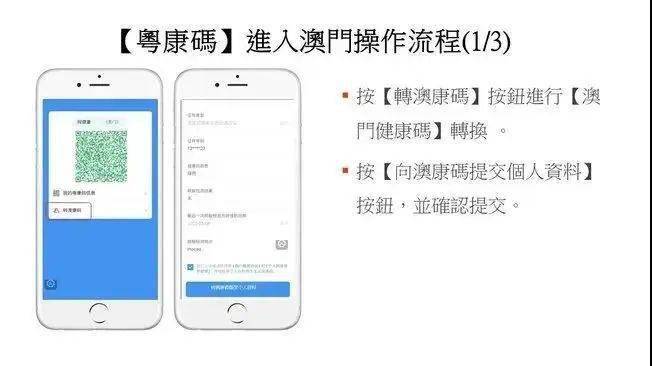 新澳门开码记录|精选资料解析大全