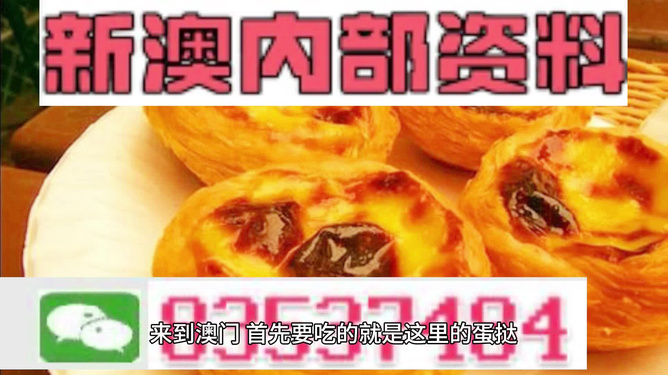 2024新澳门精准资料免费|精选资料解析大全