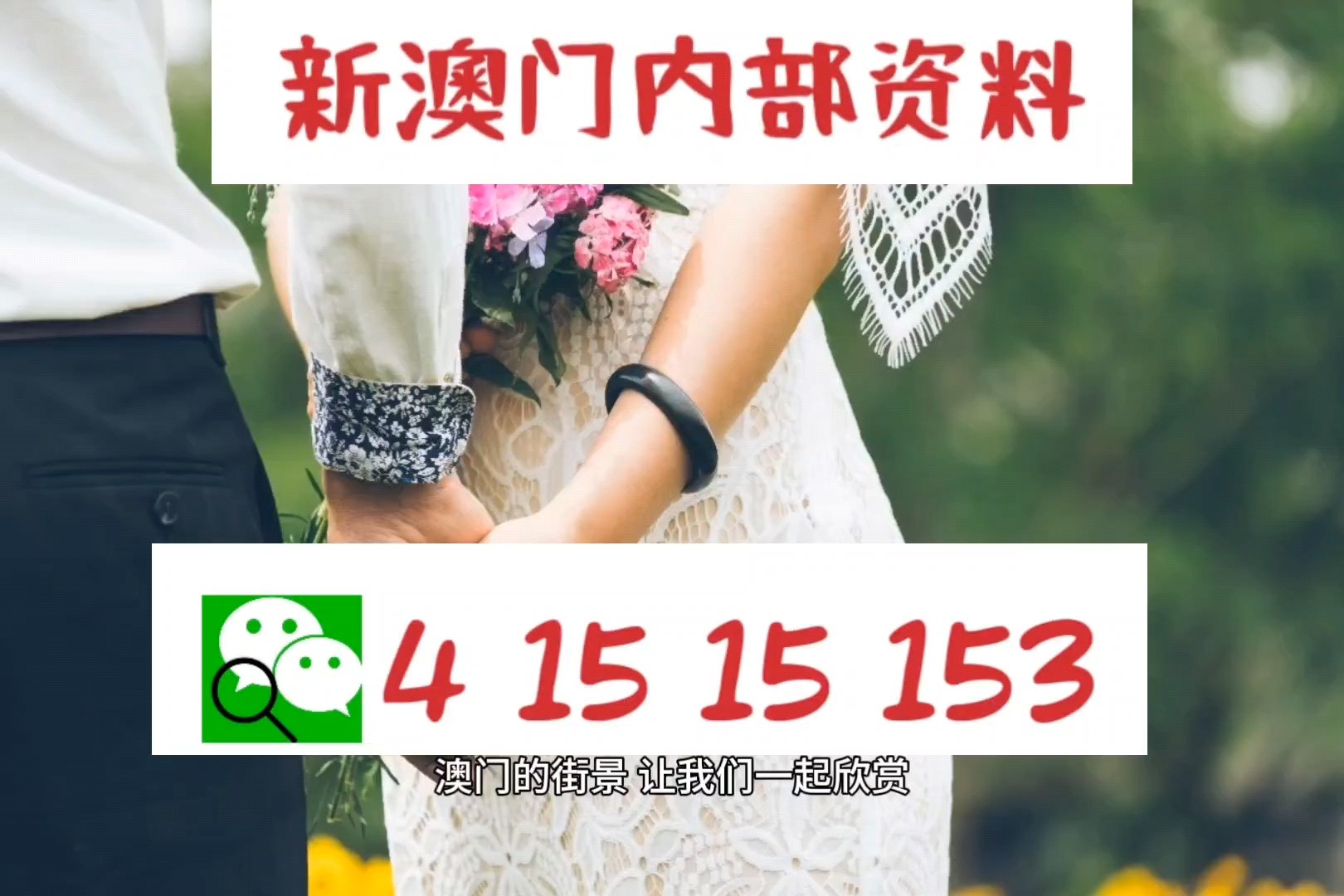 2024新澳历史开奖|精选资料解析大全