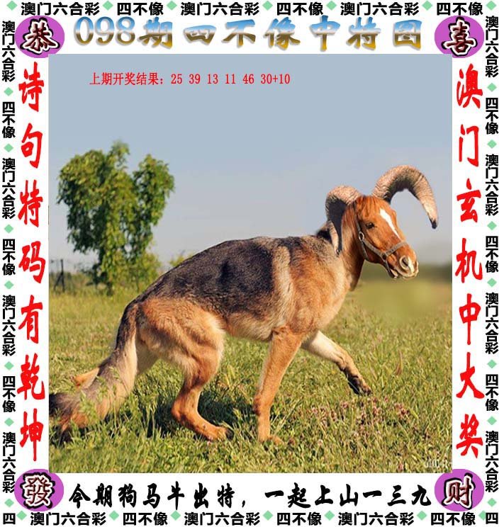 澳门今期今晚四不像|精选资料解析大全