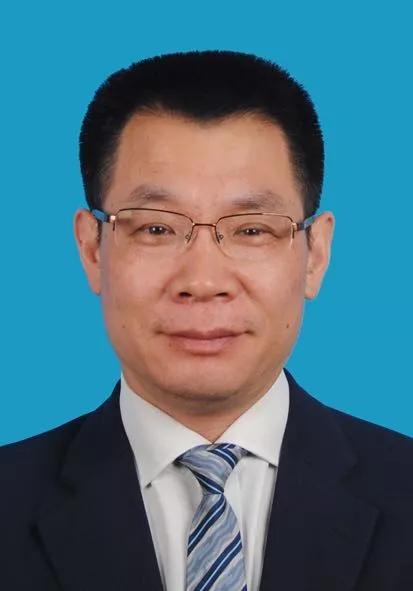 新奥2024年免费资料大全|精选资料解析大全