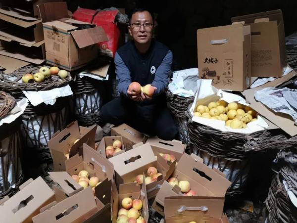 最准一肖100%准确使用方法|精选资料解析大全