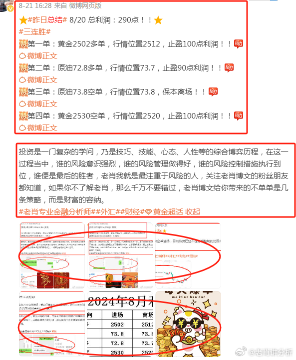 2024年管家婆的马资料|精选资料解析大全