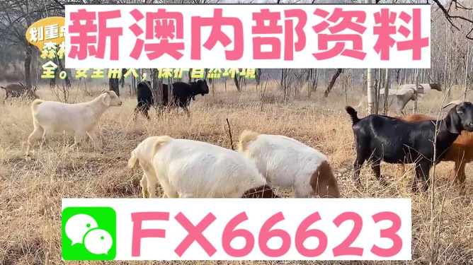2024新澳今晚资料四不像图|精选资料解析大全