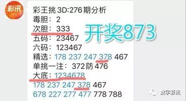 二四六天天彩资料大全2013年|精选资料解析大全