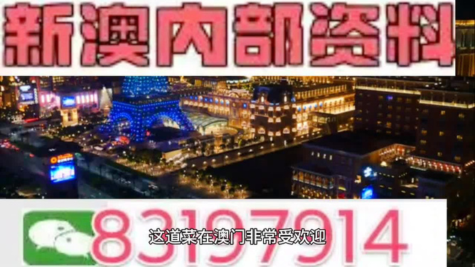 新澳2024年精准资料32期|精选资料解析大全