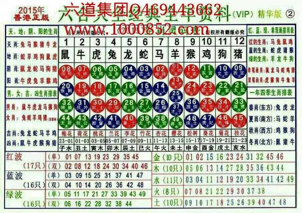 2024十二生肖49码表|精选资料解析大全
