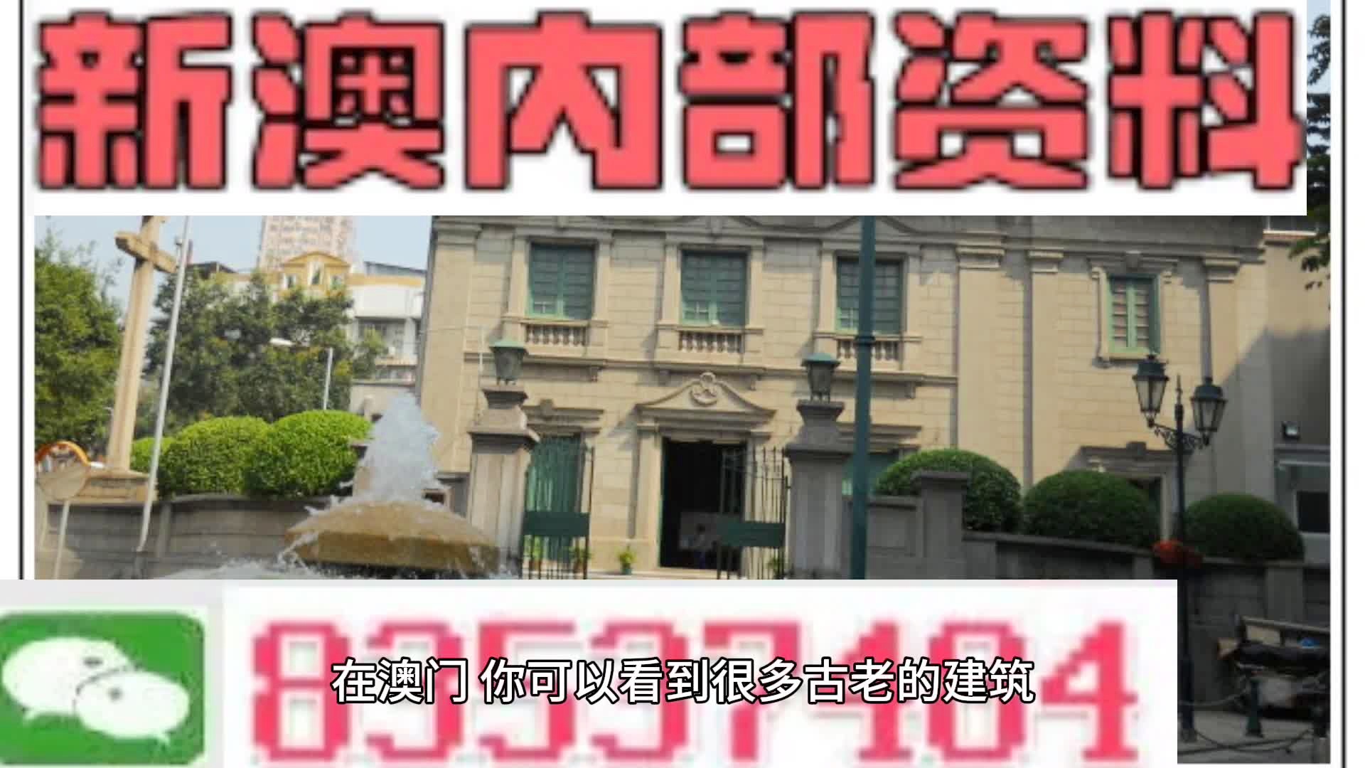 新奥门资料免费资料|精选资料解析大全