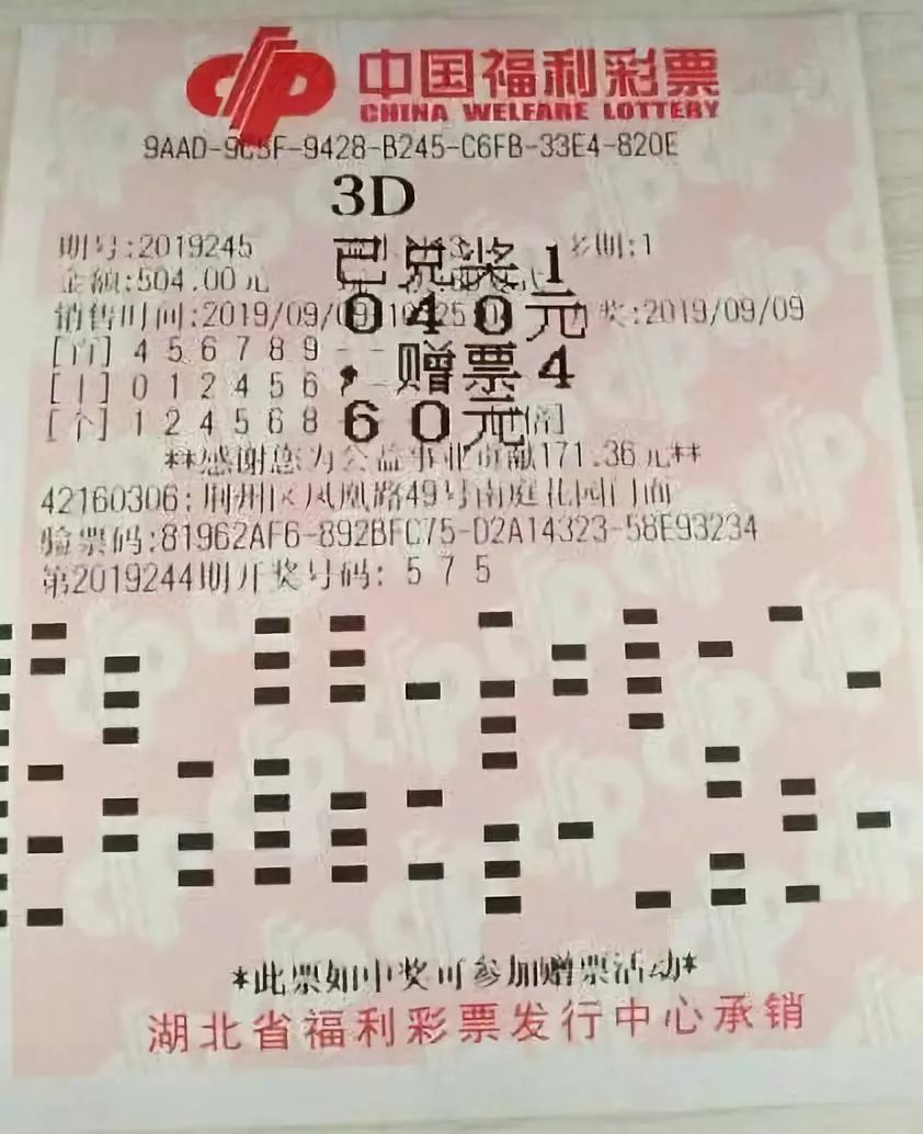 2024新奥门天天开好彩大全85期|精选资料解析大全