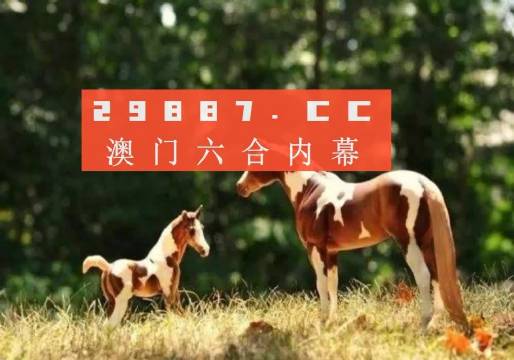四不像正版资料2024年|精选资料解析大全