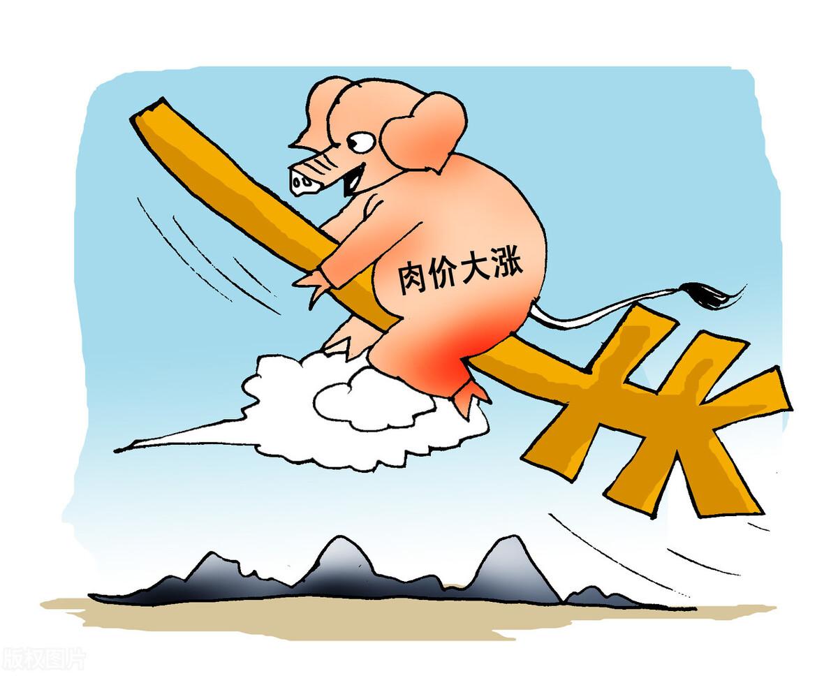 百科 第238页