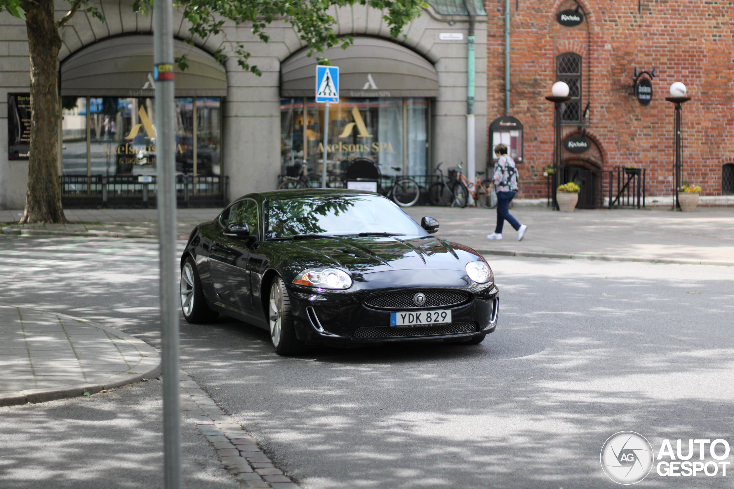jaguar xk