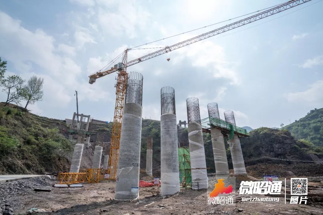 百科 第237页