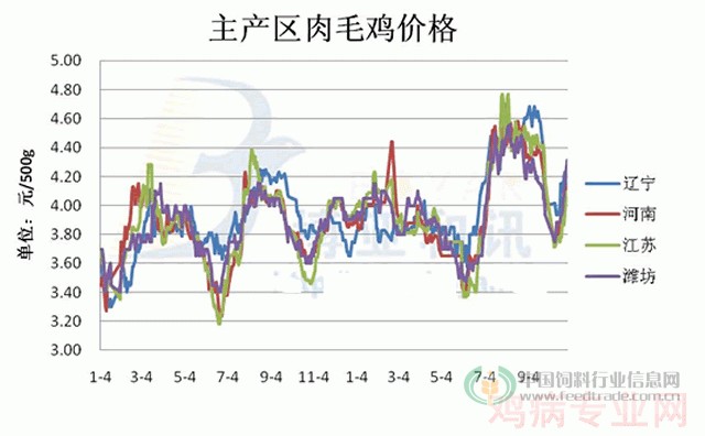 肉毛鸡价格最新行情走势