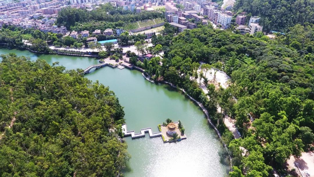 斗门五星村最新消息