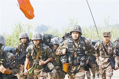 文案 第221页