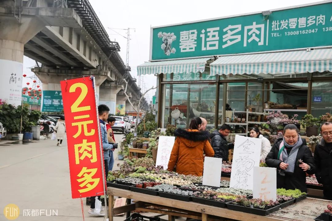 藁城屯头最新发放手工活信息