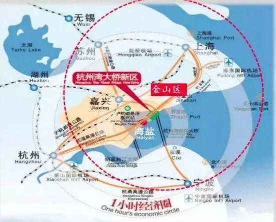 杭州湾新区人才网最新