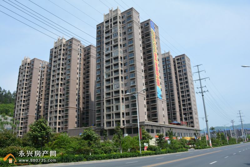 新闻 第227页