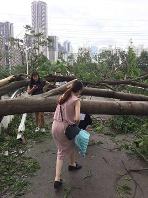 深圳台风最新消息报