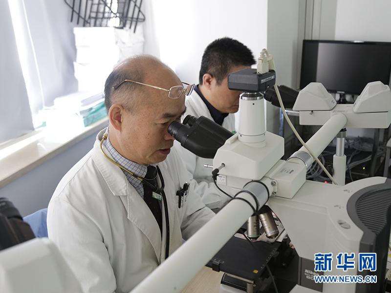 血肌酐正常值最新标准2022