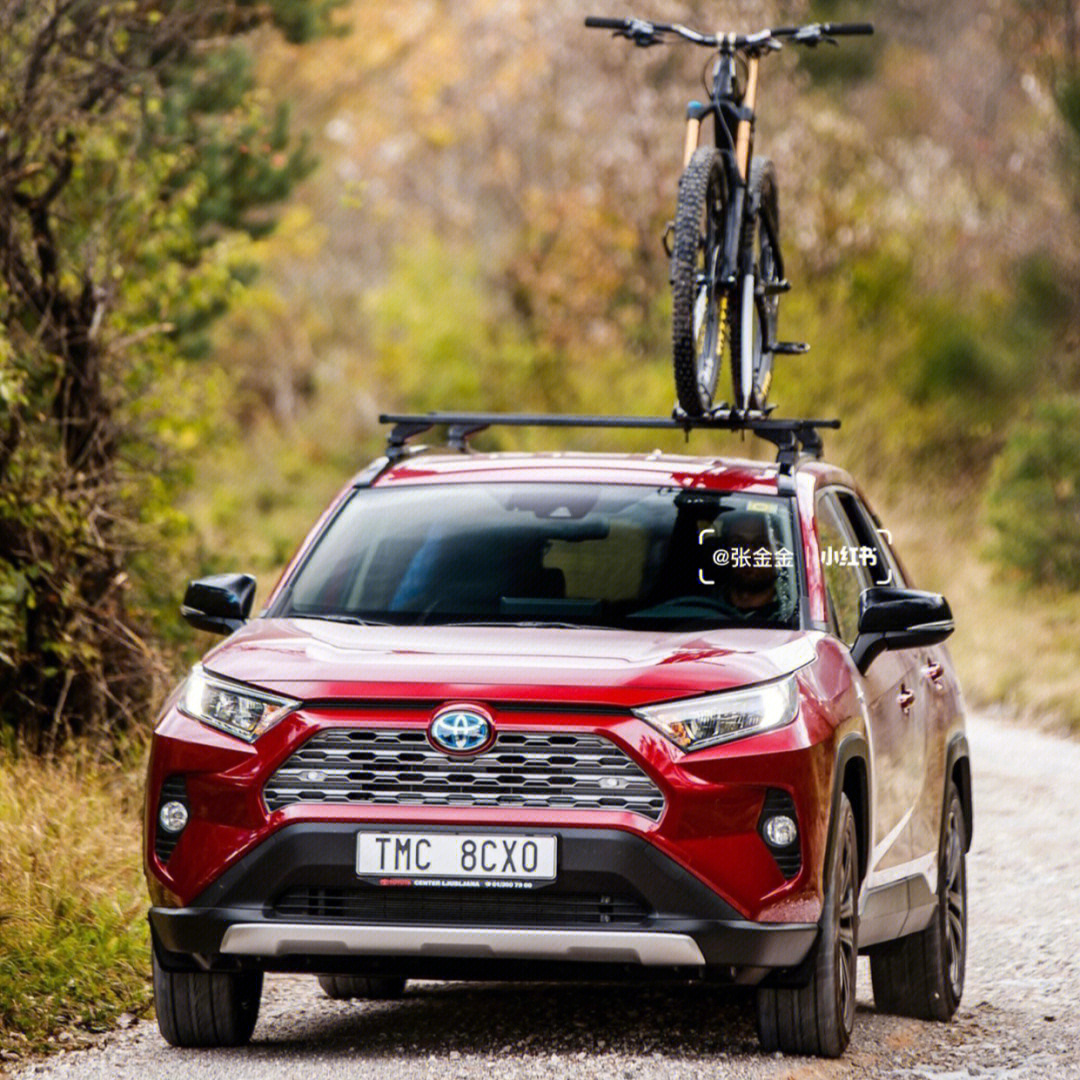 toyotarav4
