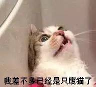 九州十里锦城楼盘最新动态