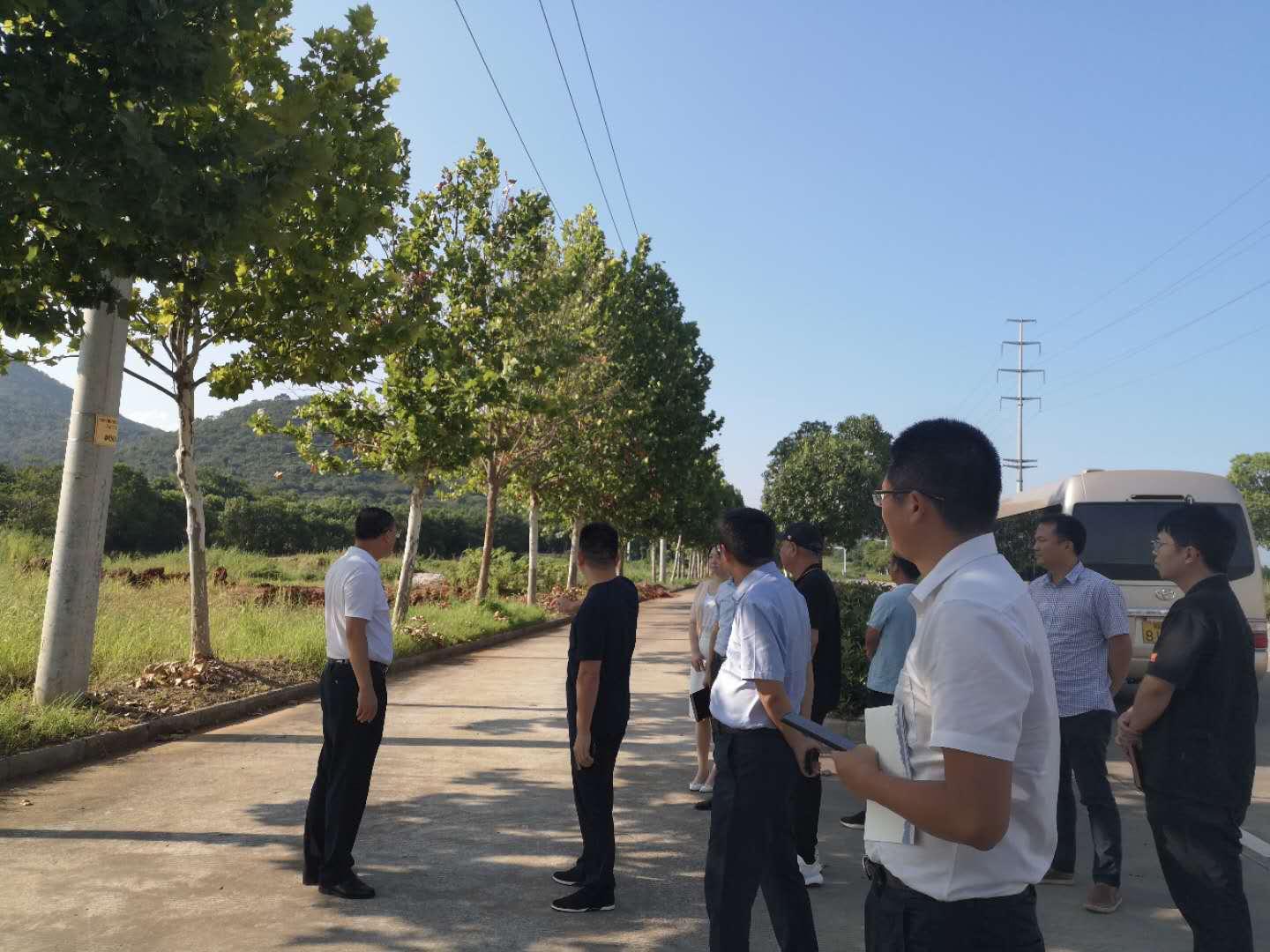 新闻 第196页