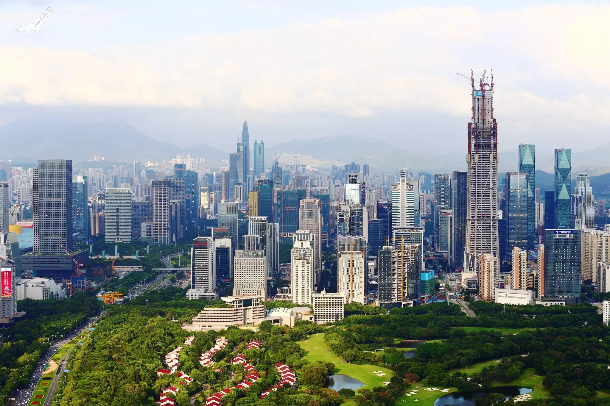深圳市罗建鹏最新消息