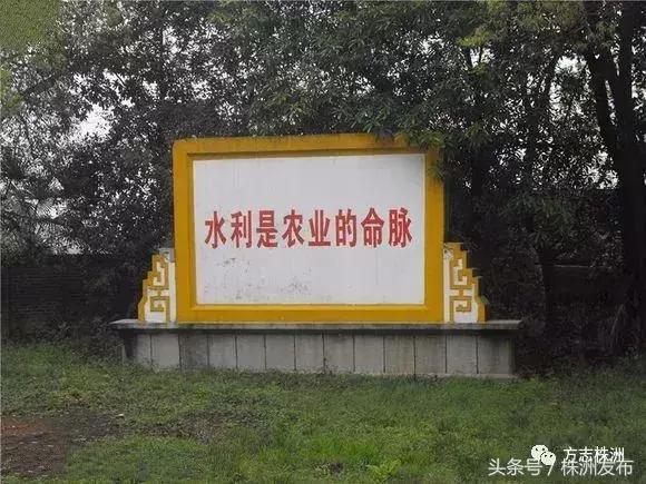 株洲泰山一号最新消息