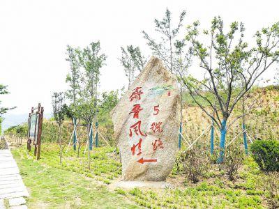 日照齐鲁人才网最新招聘信息网