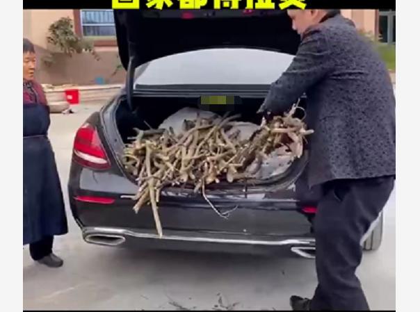 北京奔茨最新款电三轮