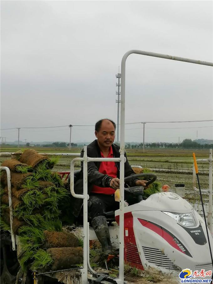江宁区土桥最新动态