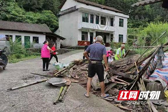 桃江红网今日最新消息