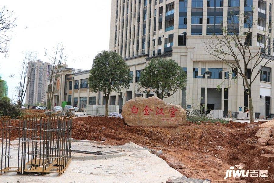 株洲白金汉宫最新消息