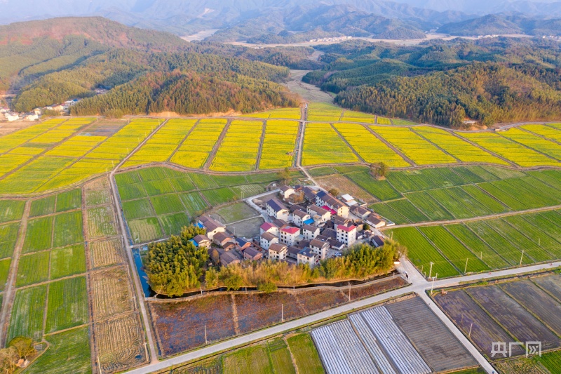 清远市罗某球最新消息