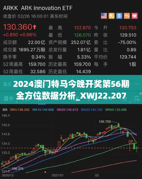2025年澳门特马今晚,探索澳门特马文化，2025年的今晚