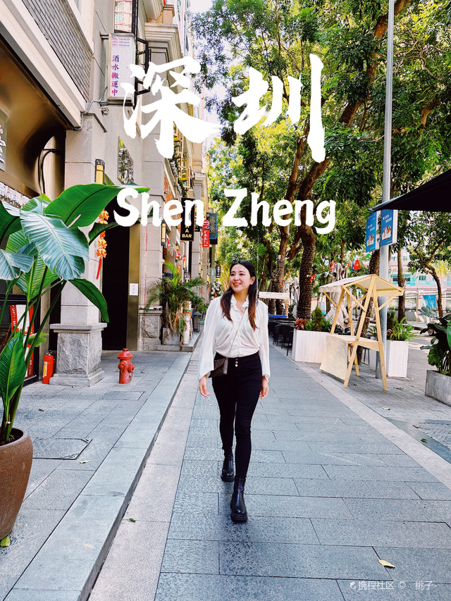 一肖一码一一肖一子深圳,一肖一码在深圳的独特魅力与探索之旅