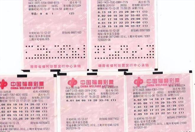 2025澳门六今晚开奖结果出来直播,澳门今晚六开奖直播，探索彩票背后的故事与期待