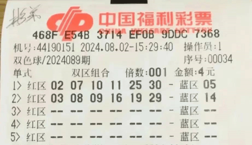 今晚澳门码特开什么号码,今晚澳门码特开什么号码，探索随机性与预测之间的微妙关系
