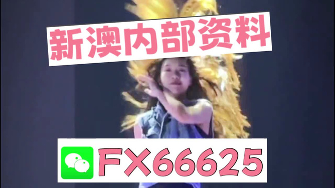 新澳门内部一码精准公开网站,探索新澳门内部一码精准公开网站——数据与科技的结合之美