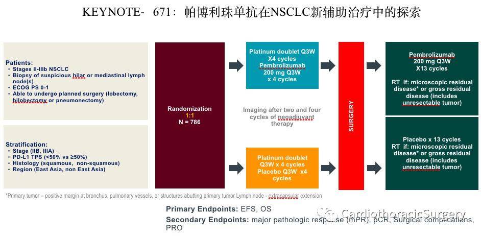 2025新澳门正版免费资料,探索澳门未来，2025新澳门正版免费资料的深度解析