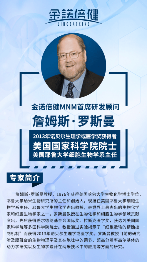 老澳精准资料免费提供,老澳精准资料免费提供，探索与启示