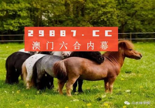 白小姐四不像一肖开奖,白小姐四不像一肖开奖，神秘与魅力的交织