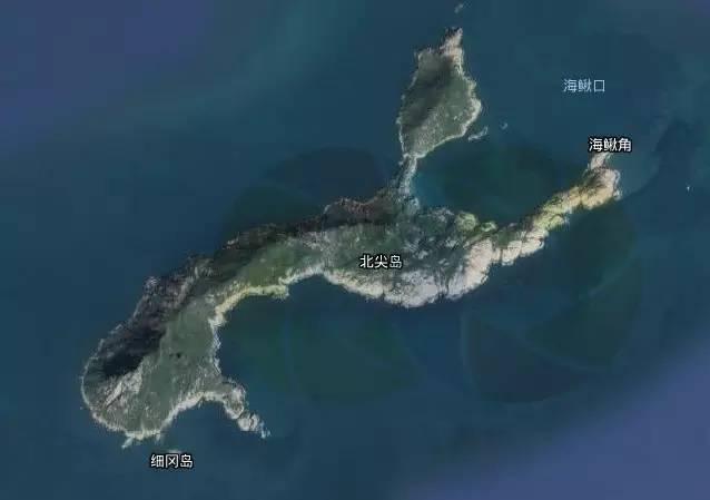 四不像今晚最准确一肖,四不像与最准确的生肖预测，今晚的秘密揭晓