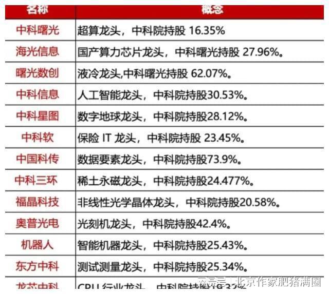 最准一肖一码一一子中特l,揭秘最准一肖一码一一子中特