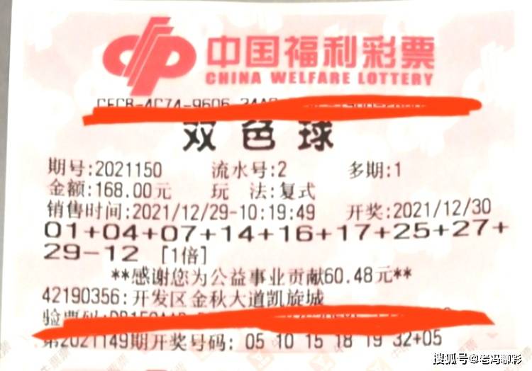 澳门特马今晚开奖结果,澳门特马今晚开奖结果，期待与惊喜的交织
